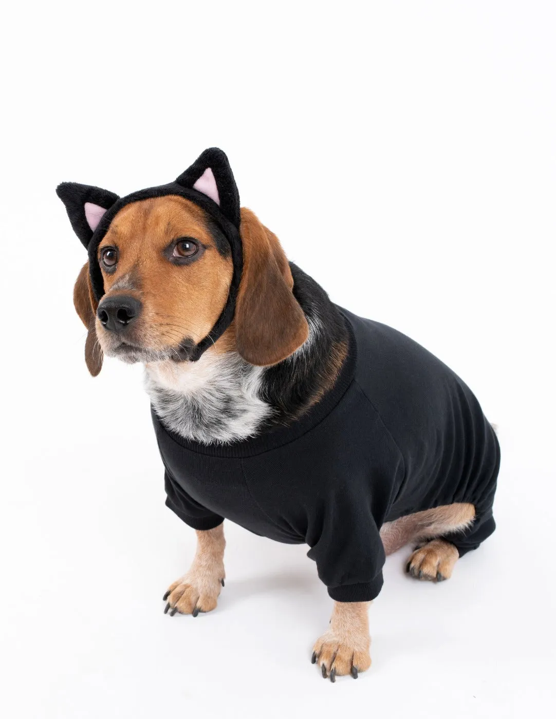 Dogs Solid Color Black Pajamas