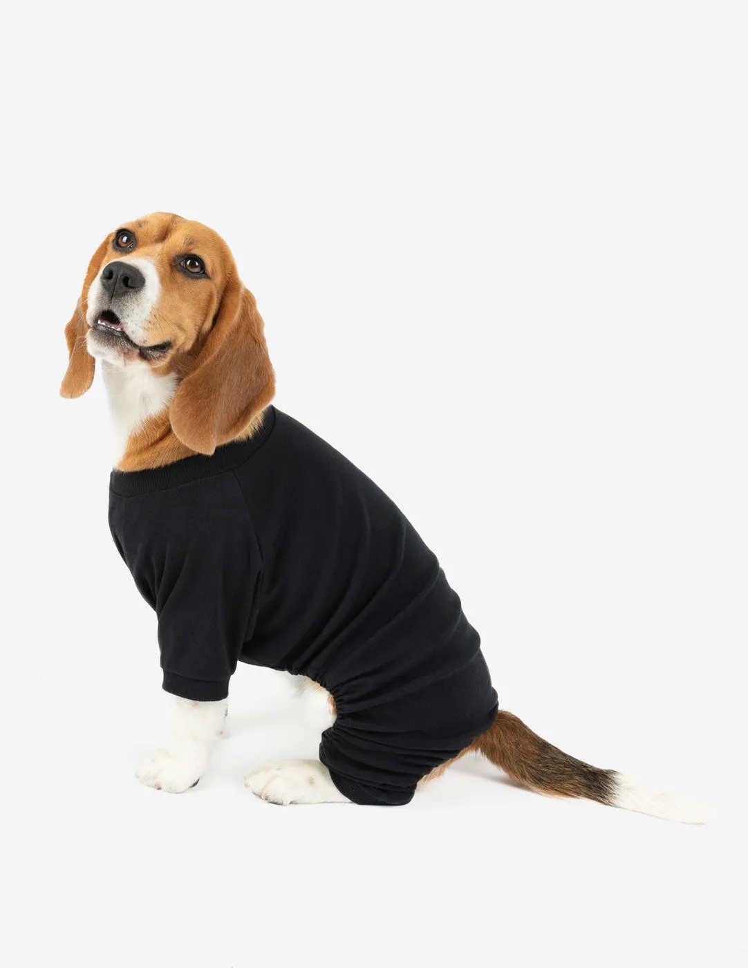 Dogs Solid Color Black Pajamas